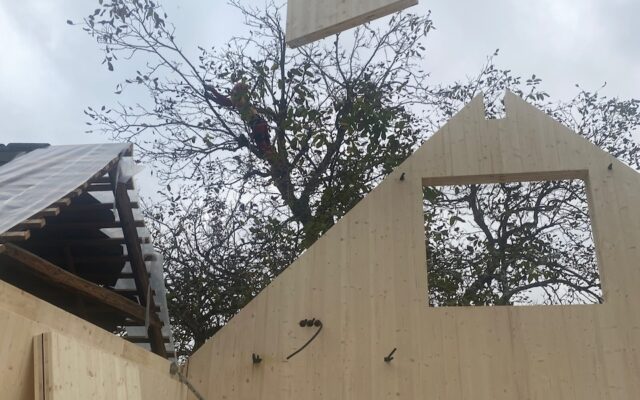 Massivholz_Haus_Kaernten – 19